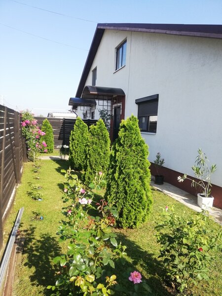 1 Decembrie, Ilfov, Lidl,