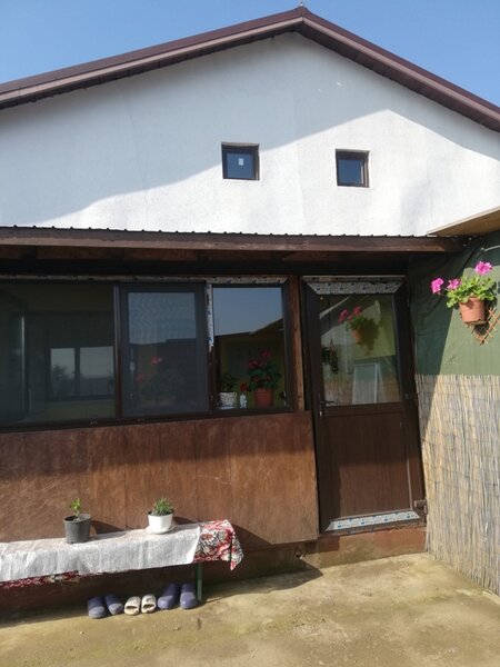 1 Decembrie, Ilfov, Lidl,