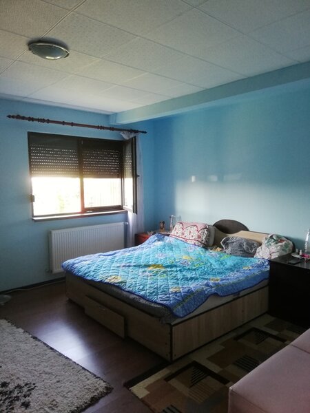 1 Decembrie, Ilfov, Lidl,